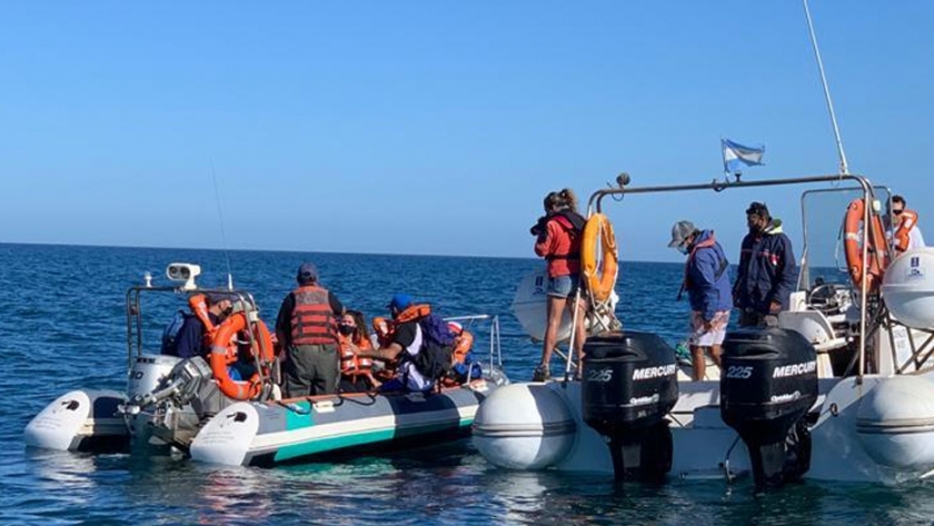 El ministro de turismo recorrió península valdés junto a "Proyecto Sub"