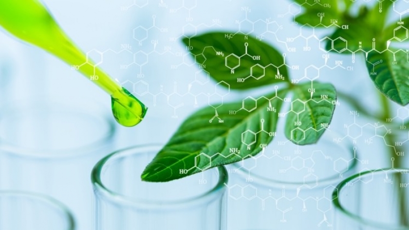 Inversión en edición genética agrícola: un crecimiento del 206% que impulsa la innovación en 2024
