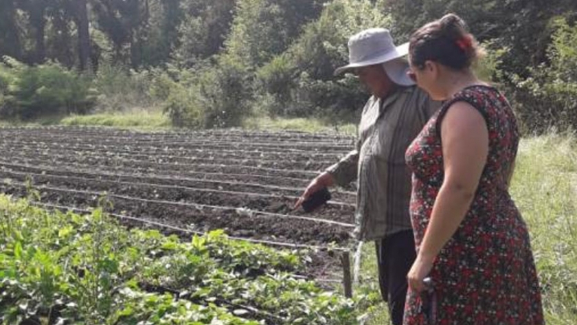 La importancia de registrar la producción de la agricultura familiar