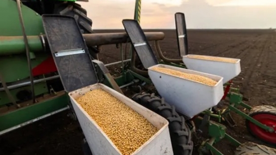 La soja le gana terreno al maíz y girasol: se proyecta un aumento de 200.000 hectáreas