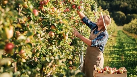 Qué es la agroecología y cuáles son sus 10 mandamientos