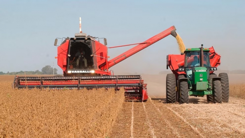 Un futuro récord: el agro proyecta la segunda mayor cosecha de su historia