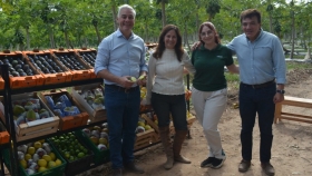 Café en Corrientes: el proyecto que busca abrir una nueva economía regional