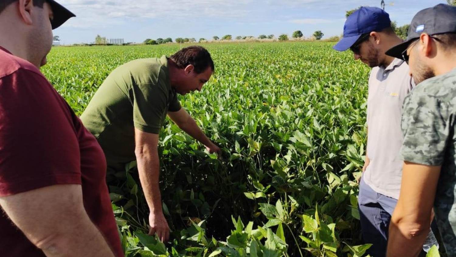 La agronomía vuelve al centro de la escena en el Congreso Aapresid
