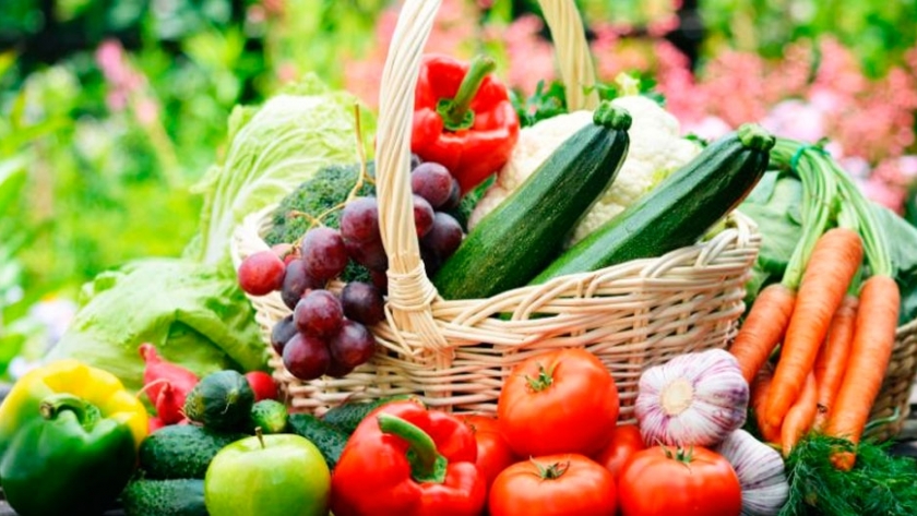 El Procanor priorizará la cadena hortícola en Chaco