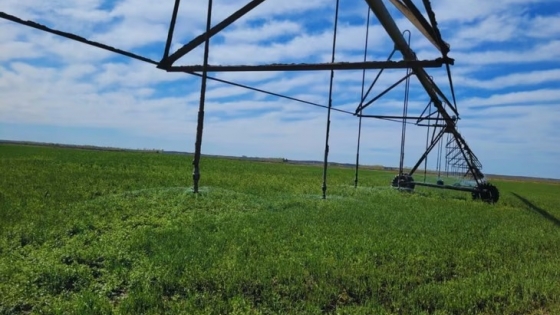 Cómo cuidar los equipos de riego y usar mejor el agua