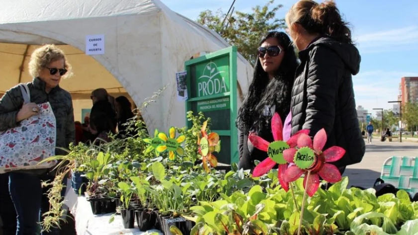Habrá venta de plantines y productos de las huertas urbanas neuquinas
