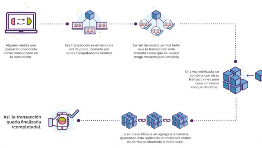 Blockchain, tecnología para la producción vegetal y la seguridad fitosanitaria