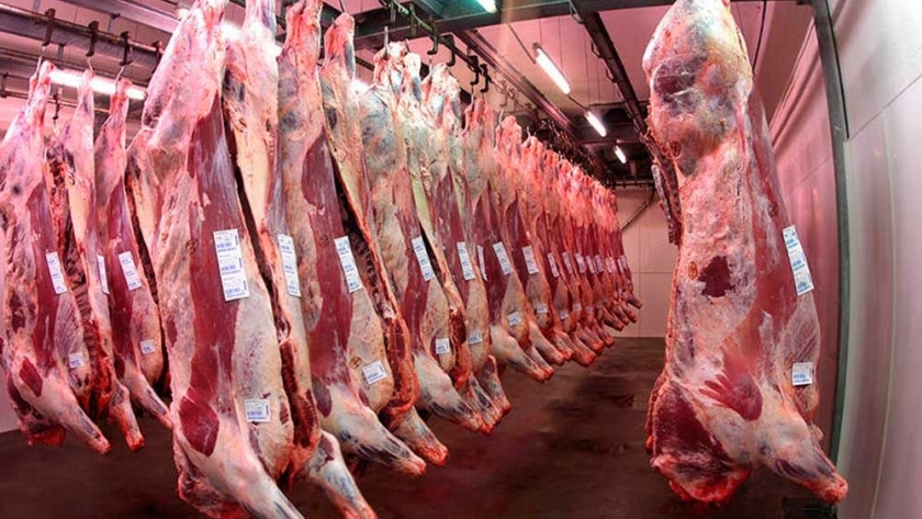 Más requisitos para los exportadores: el Gobierno pone el foco en la carne vacuna para atacar la informalidad