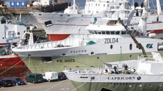 Calamar Malvinas. Cambios en la temperatura del agua podría haber afectado la temporada