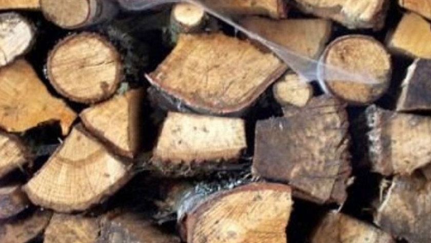 Empadronaran a elaboradores de carbón, leña, madera y consumidores comerciales