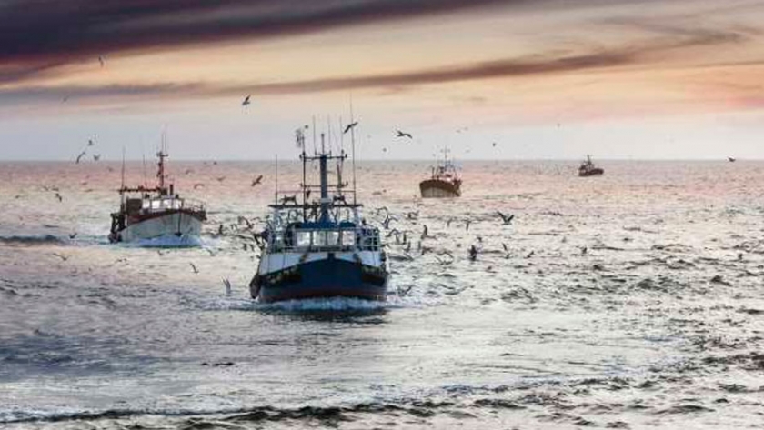 La pesca podría aliviar una emergencia alimentaria mundial en casos extremos