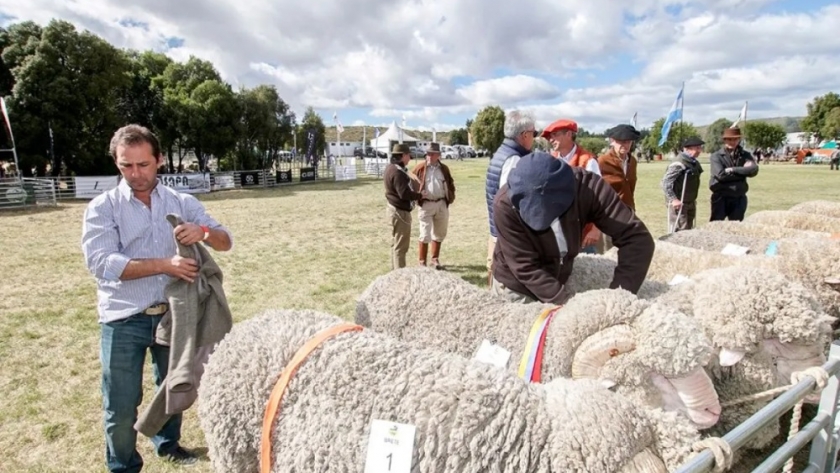 Comienza el ciclo de Exposiciones Rurales de verano 2024