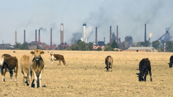 Emisiones de gases de efecto invernadero en la ganadería: Las emisiones despiertan preocupaciones ambientales