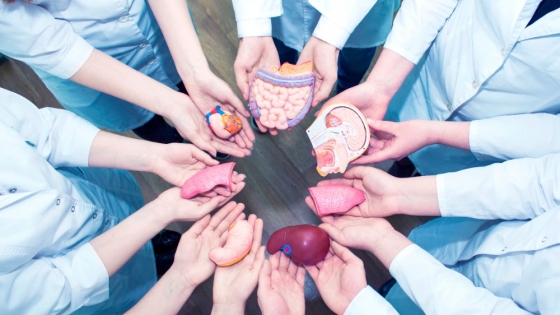 Día Nacional de la Donación de Órganos: un acto de amor que salva vidas y necesita ser visibilizado
