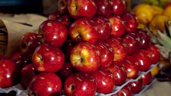 Exportaciones de manzana caen a mínimos históricos y exponen la crisis del sector frutícola