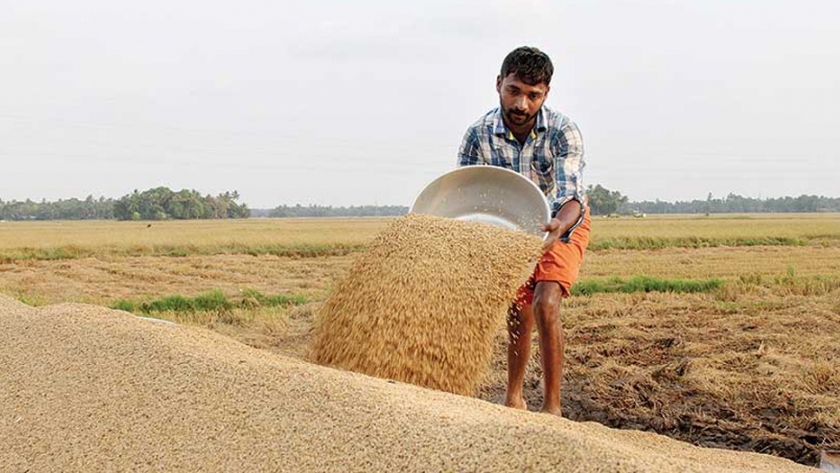 Necesidad de desregular la agricultura india