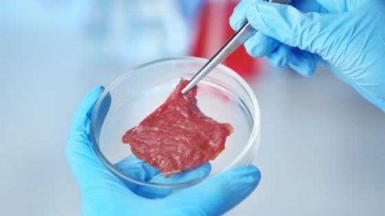 Histórica autorización para una carne cultivada en laboratorio