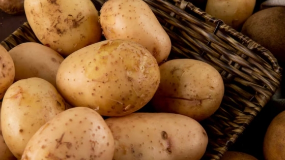 Papa: tras el derrumbe de 2025, el sector reduce siembra y busca recomponer precios