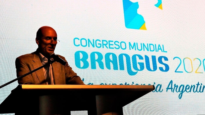 Después de 17 años, Argentina volverá a ser sede del Congreso Mundial Brangus