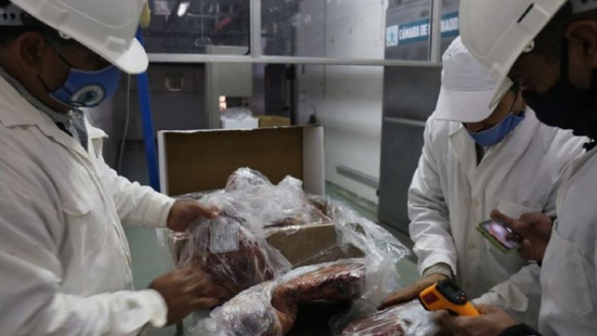 Exportaciones chaqueñas: Producción prepara el tercer envío del año de carne caprina