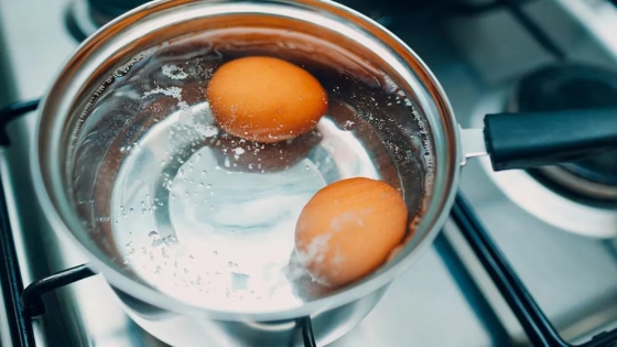 El poder oculto de los residuos domésticos: cómo el agua de cocción de huevos y la cáscara nutren tus plantas