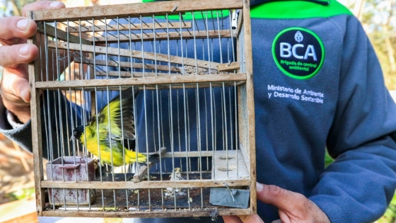 <La Brigada de Control Ambiental rescató aves silvestres en Del Viso