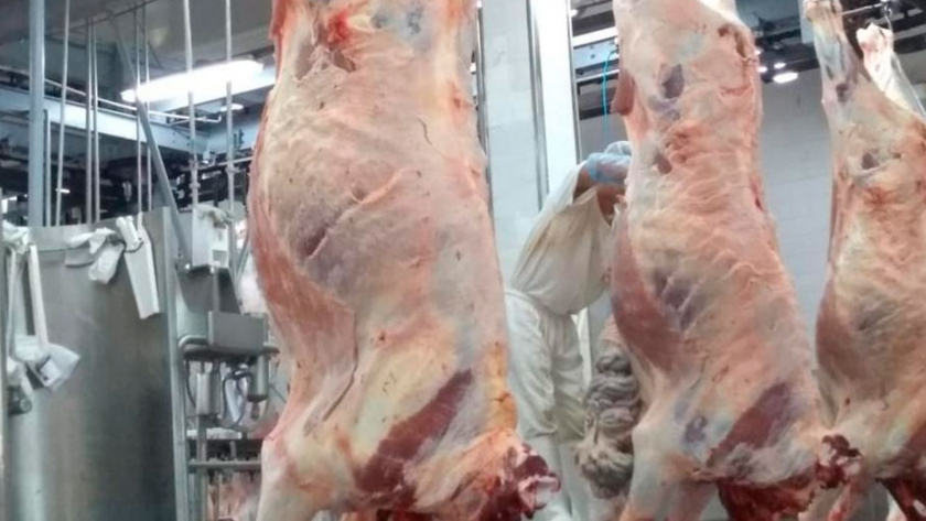La carne de búfalo también se exporta