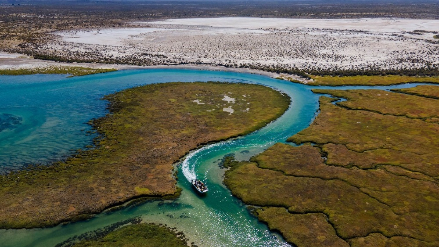 La Ruta Patagonia Azul impulsa el turismo responsable y conecta pueblos costeros del sur argentino