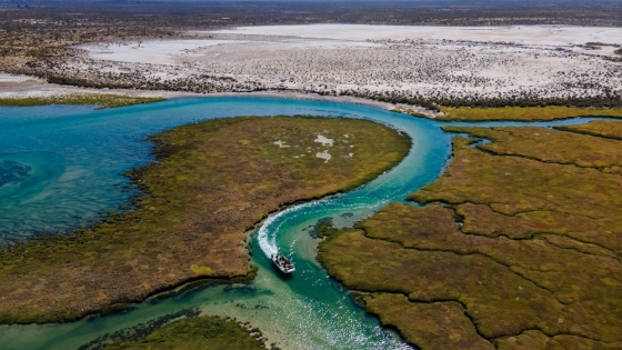 La Ruta Patagonia Azul impulsa el turismo responsable y conecta pueblos costeros del sur argentino