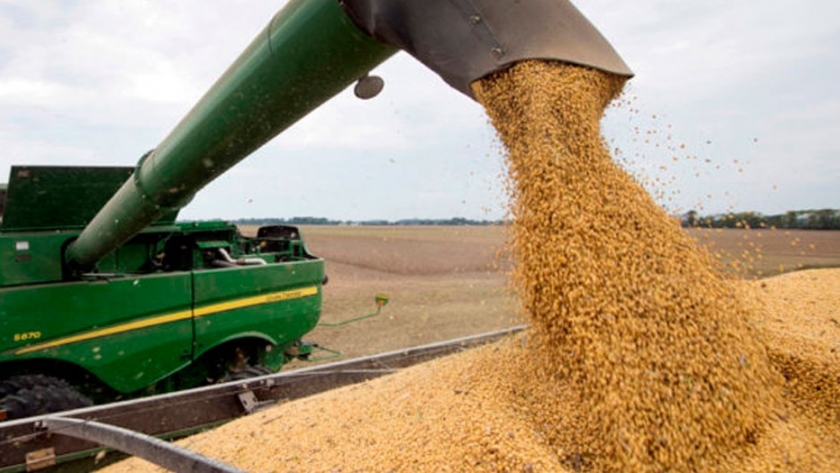 Comprar una hectárea requiere 41% más soja que hace cuatro años