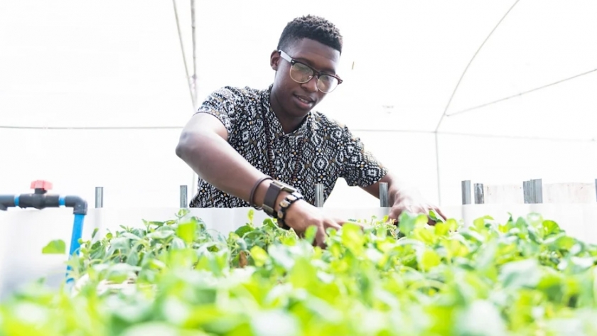 Conoce al hombre que promueve la agricultura acuapónica en Sudáfrica
