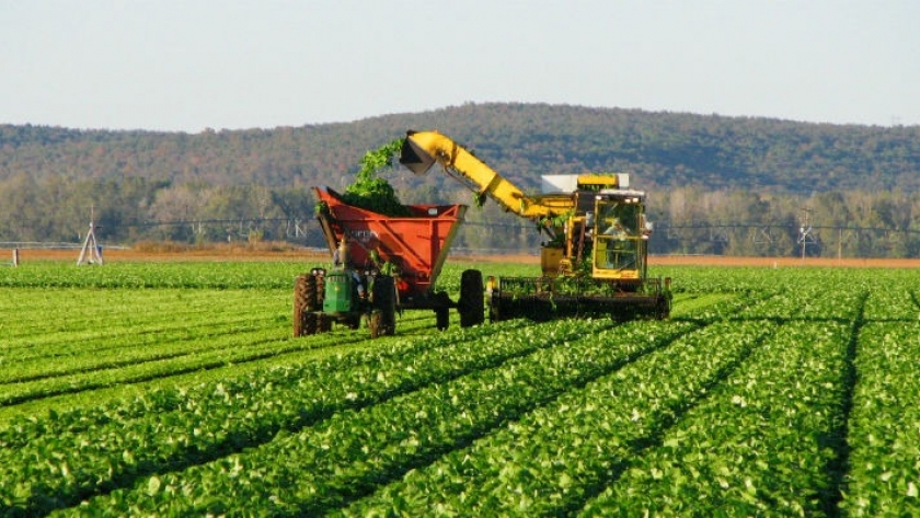 De la agricultura digital al e-commerce: ¿Cómo innova la cadena?