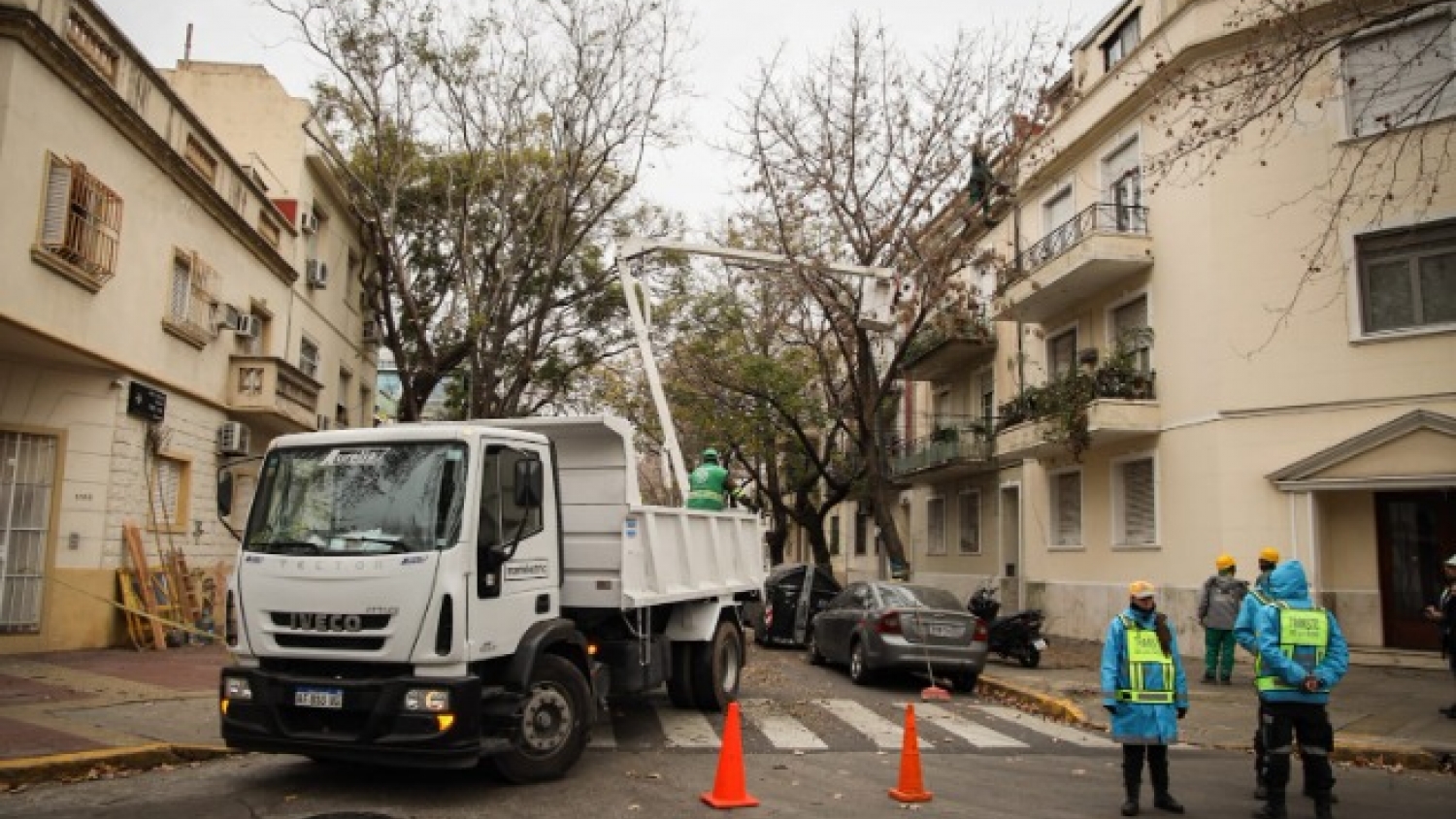 ¿Cómo se gestiona el arbolado público en la Ciudad de Buenos Aires?