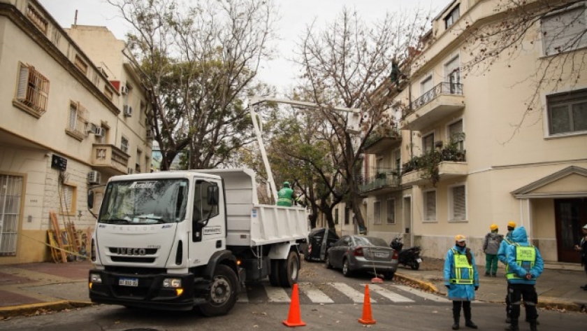 ¿Cómo se gestiona el arbolado público en la Ciudad de Buenos Aires?