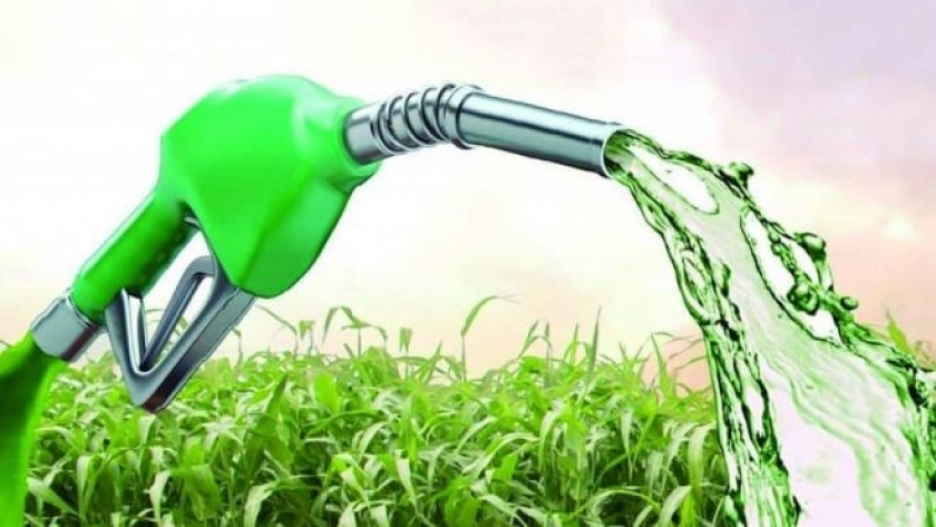 Apuntes sobre los biocombustibles en la Argentina