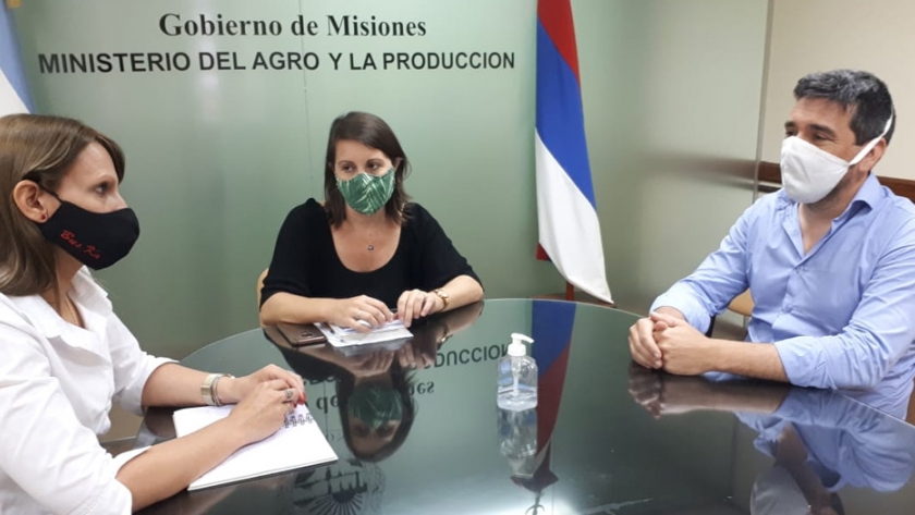 Ratifican vigencia de protocolo sanitario para el desarrollo de la zafra tealera