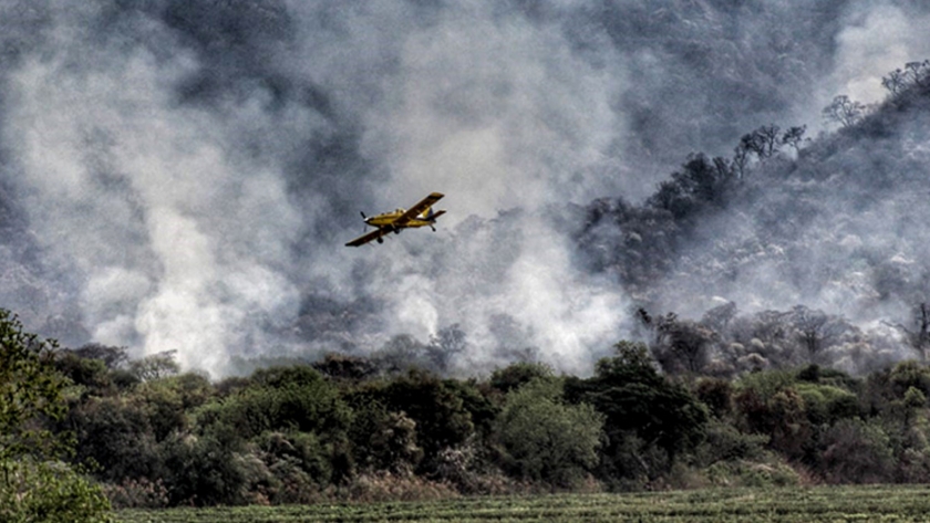 Evalúan el daño en la flora y la fauna tras los incendios