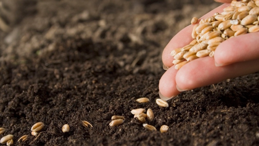 Desarrollan nanotecnologías para el agro