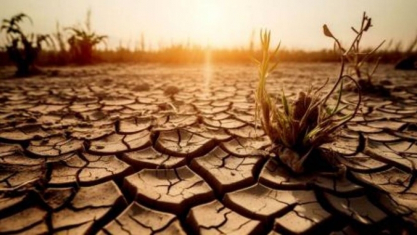 Lejos del negacionismo: los argentinos no se resignan al cambio climático