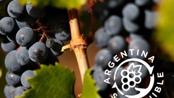 Más bodegas certifican prácticas sustentables y refuerzan el perfil exportador del vino argentino