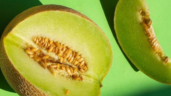 <Los secretos para cultivar melón y sandía en la huerta en casa