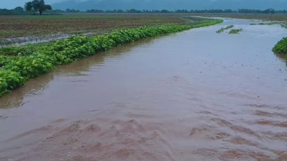 El arte de frenar el agua sin perder el suelo: prácticas clave desde el Valle de Lerma