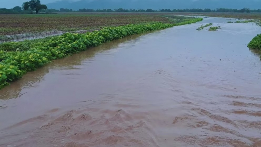 El arte de frenar el agua sin perder el suelo: prácticas clave desde el Valle de Lerma
