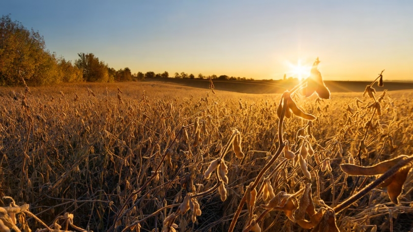 Calor extremo y lluvias intensas: el clima que se avecina en el norte y centro agrícola de Argentina