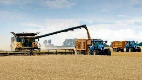 Soja, sorgo y maíz en plena cosecha