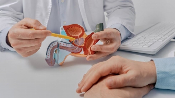 Campaña gratuita de prevención de cáncer de próstata: chequeos clave para hombres mayores de 50