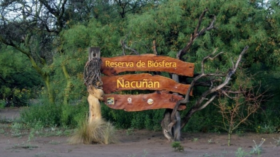 Ñacuñán: Turismo en la primera reserva natural de Mendoza