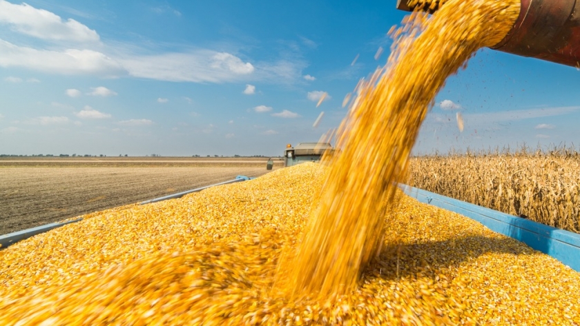 ¿A que valor se liquida ahora el dólar agro?