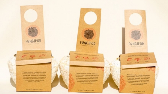 Fungipor, el primer packaging sustentable de hongos de la Argentina